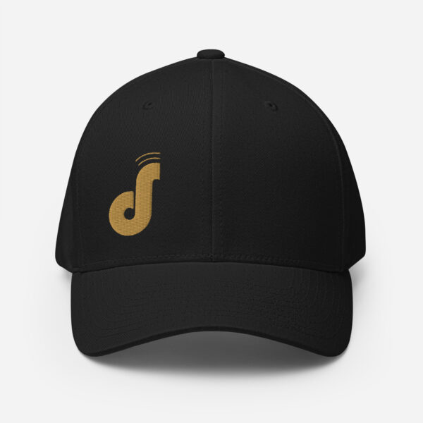 1.0 | Black FlexFit Hat