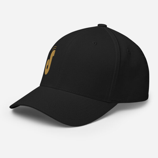 1.0 | Black FlexFit Hat - Image 4