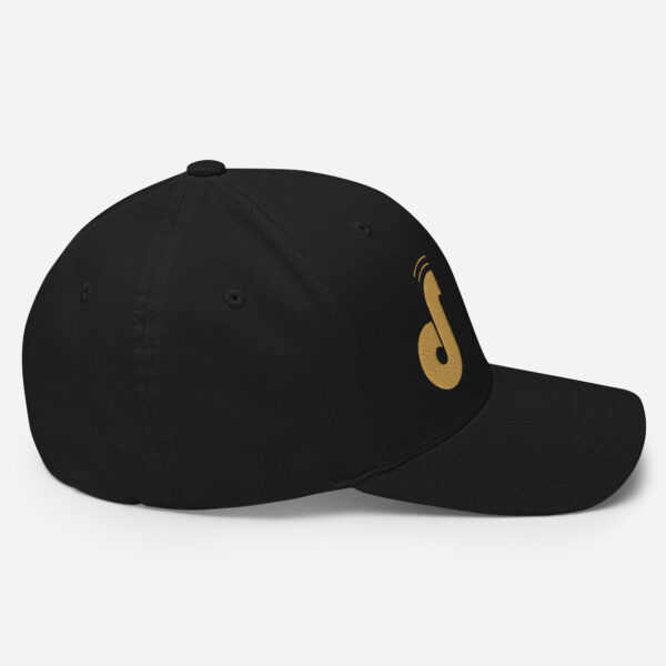 1.0 | Black FlexFit Hat - Image 5