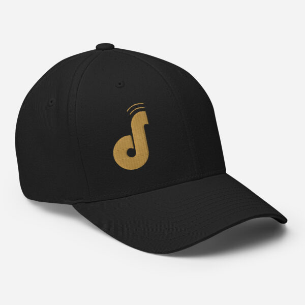 1.0 | Black FlexFit Hat - Image 6